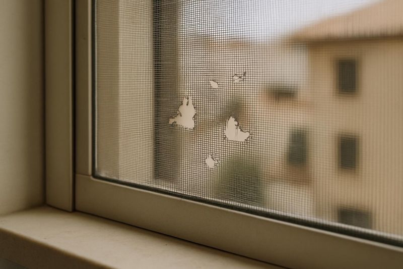 malla de mosquitera deteriorada con agujeros