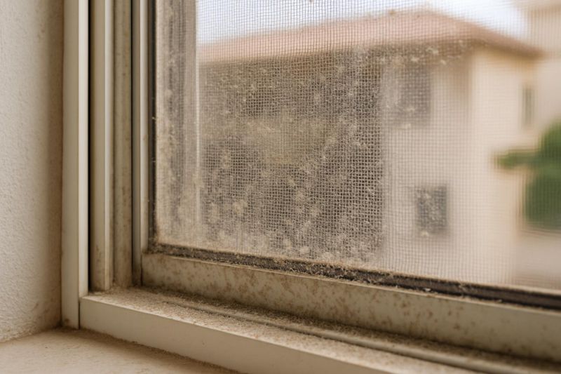 mosquitera con suciedad acumulada y mantenimiento